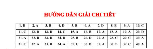Đề thi thử Tiếng Anh THPT 2026 – Sở GD&ĐT Quảng Ninh, THPT Cẩm Phả