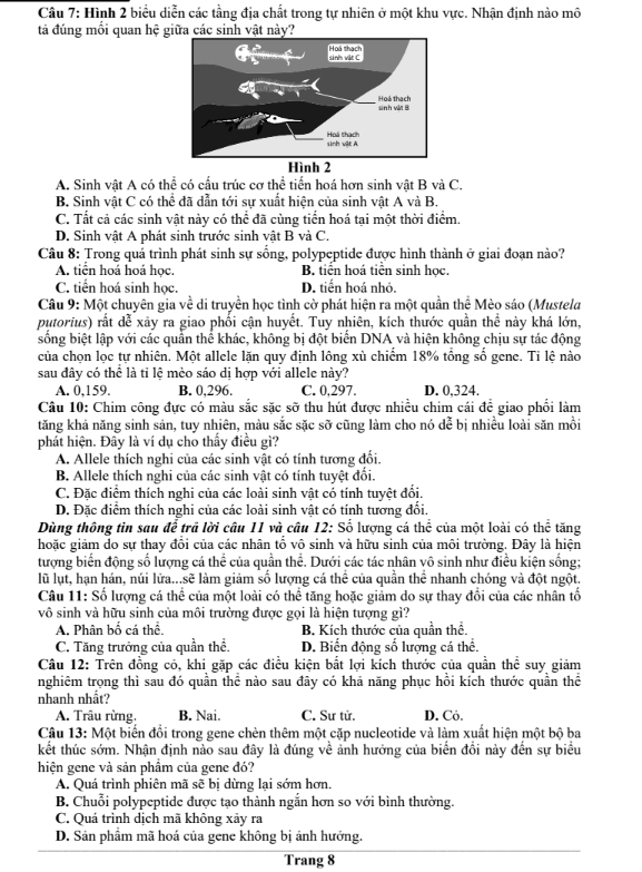 Đề thi thử Sinh Học THPT 2026 – Trường THPT ẩn danh