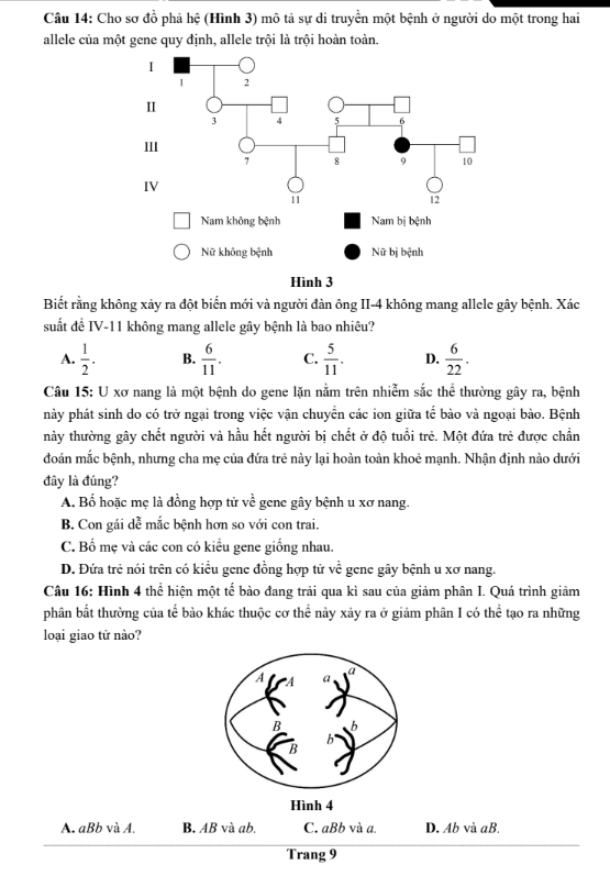 Đề thi thử Sinh Học THPT 2026 – Trường THPT ẩn danh