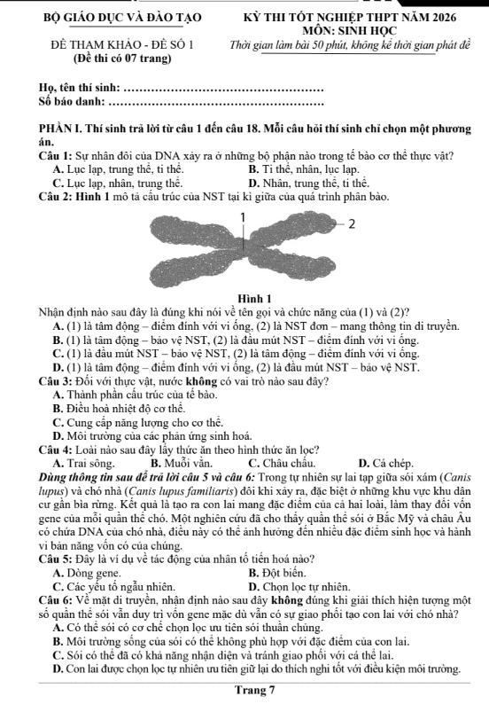 Đề thi thử Sinh Học THPT 2026 – Trường THPT ẩn danh
