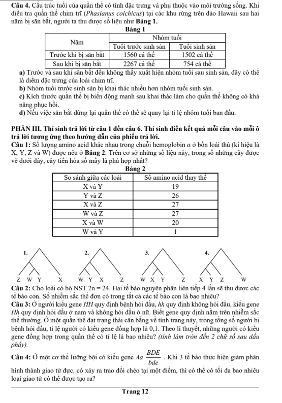 Đề thi thử Sinh Học THPT 2026 – Trường THPT ẩn danh