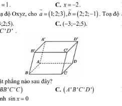 Hình minh họa câu 8